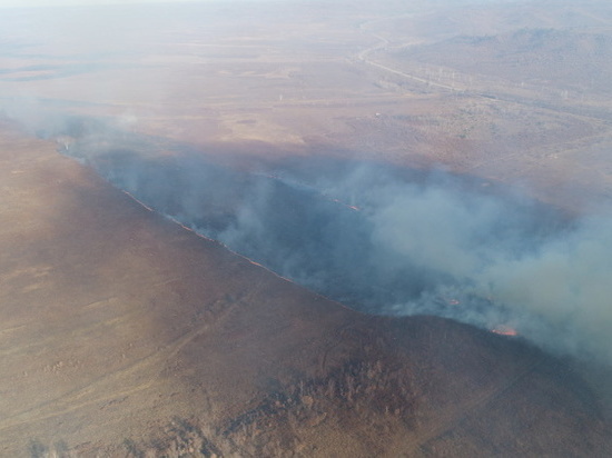 Восемь палов сухой травы потушили пожарные Приамурья за сутки