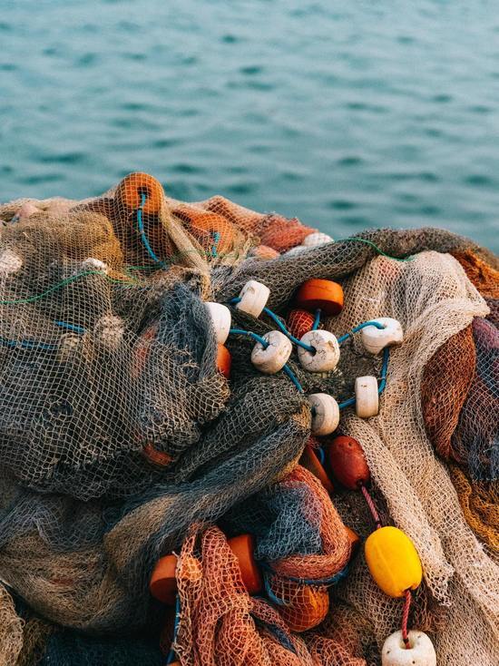 В Тункинском нацпарке в Бурятии сняли более 15 рыболовных сетей