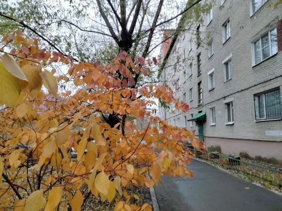 20 октября существенных осадков в Томске синоптики не прогнозируют