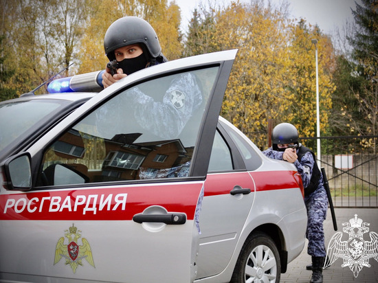 В Светлогорске задержали пожилого дебошира