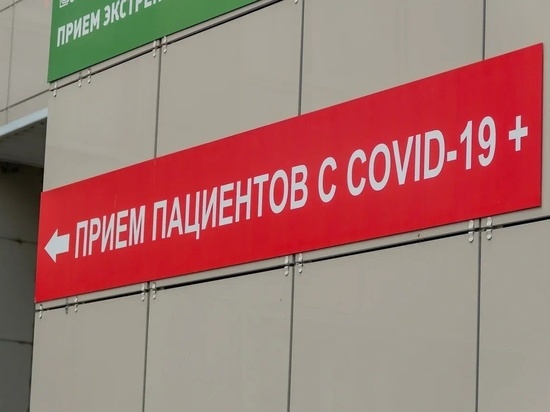 В Рязанской области выявили 38 случаев заражения COVID-19 за сутки