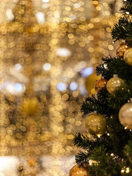 Шесть губернаторских новогодних елок планируется в Мурманске