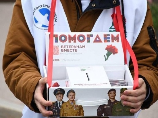 В Тамбовской области завершилась благотворительная акция «Красная  гвоздика»