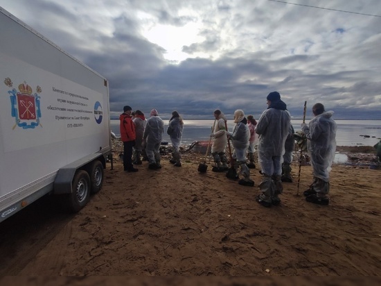 Эковолонтеры провели учения по очистке Финского залива от нефтепродуктов