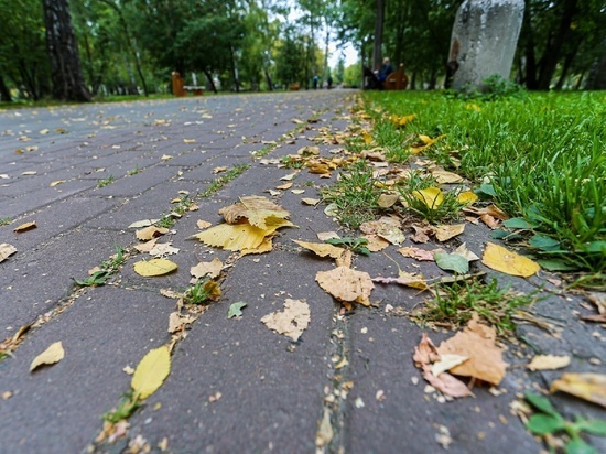 Сильный ветер, дождь и +7 градусов: прогноз погоды в Новосибирске на 20 октября