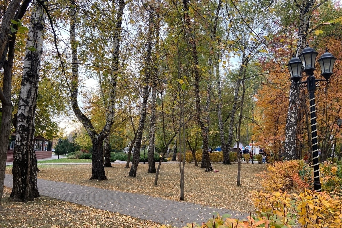 Парк в академгородке