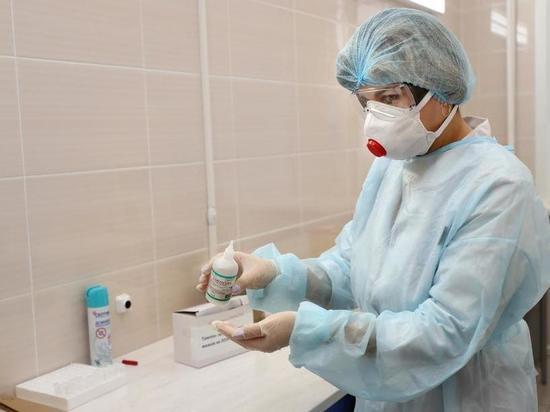 Во Владимирском регионе зарегистрирован первый случай гриппа