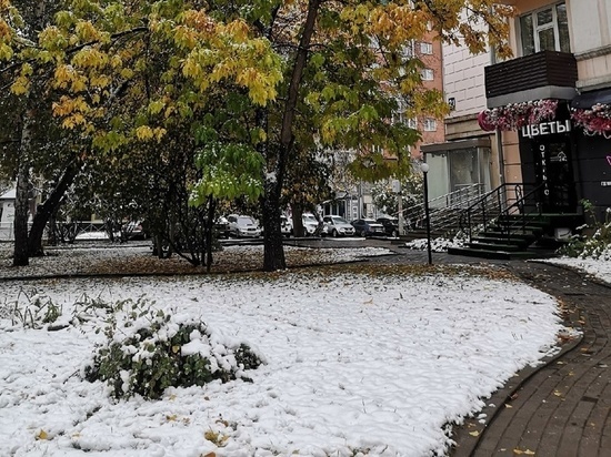 В Новосибирске прогнозируют снегопады с начала ноября