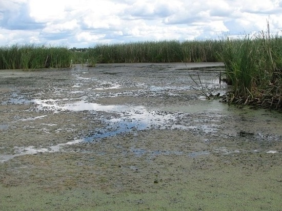 В Марий Эл расчистят водохранилище на реке Ошла