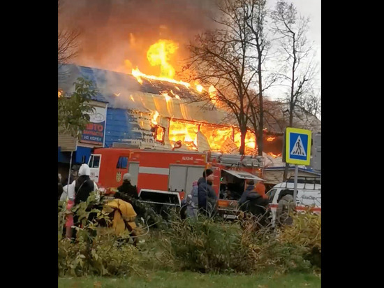 В Чехове 2,5 часа тушили грандиозный пожар