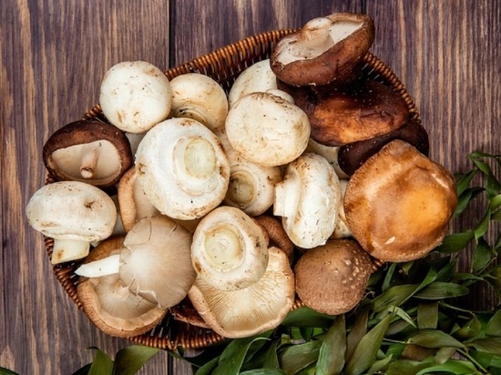 Как высушить грибы в духовке: подробная инструкция, после которой не останется вопросов