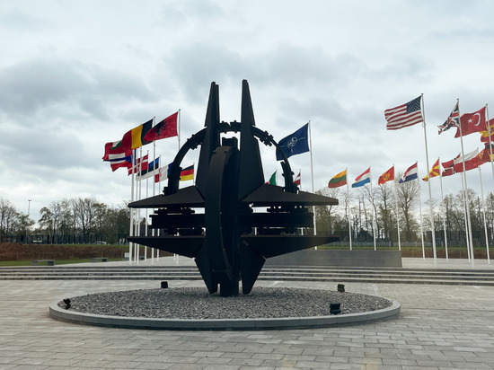 Нидерландский политик: НАТО может провести на Украине операцию под «ложным флагом»