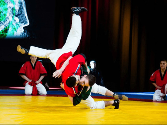 В Международном Форуме боевых искусств в Уфе примут участие 5000 спортсменов
