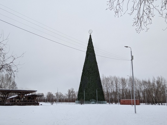 В Красноярске Новый год пройдет в эконом-режиме ради помощи мобилизованным