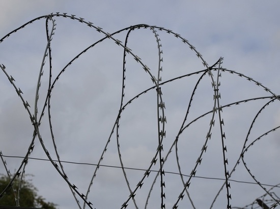 «Ведомости»: задержанному в Италии Артему Уссу может грозить срок до 15 лет