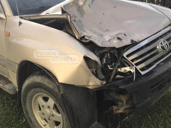 На Сахалине ищут свидетелей столкновения Toyota Land Cruiser с лошадью