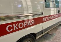 В Барнауле иномарка сбила насмерть 17-летнюю девушку