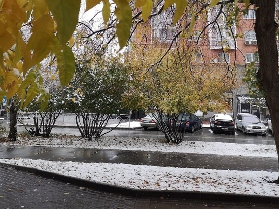  В Новосибирской области резко похолодает до +2 градусов 24 октября