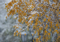 Первый снег выпал в Московском регионе в ночь с 20 на 21 октября