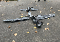 В Белгородской области девятилетний мальчик получил тяжелые травмы при взрыве устройства, похожего на украинский военный дрон