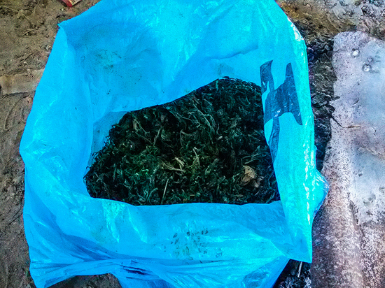 В Пензенской области у мужчины в гараже нашли мешок марихуаны