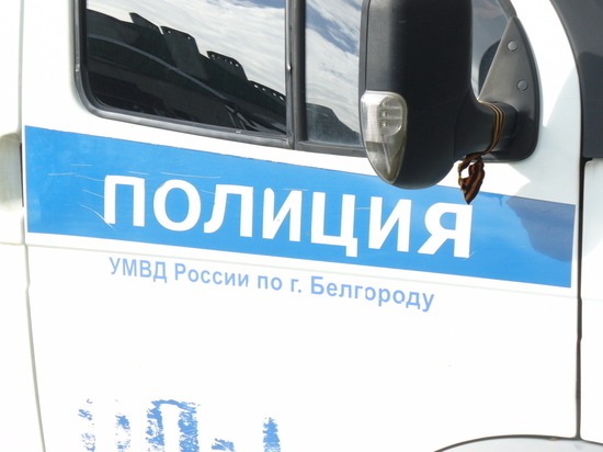 Белгородец напугал двух девочек, а затем напал на отца одной из них