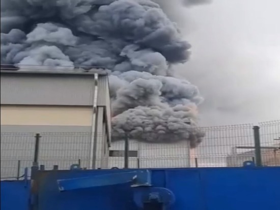 Открытый пожар на складе технопарка в Ногинске удалось ликвидировать