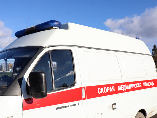 В Петербурге 9-летний школьник попал в реанимацию после драки на физкультуре