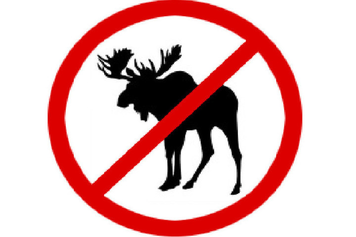 Запрет охоты 2024. Знак оленям запрещено. Охота на лосей запрещена знак. Знак запрета охоты на животных. Знак охота запрещена с оленем.