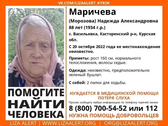 В Курской области пропала без вести женщина в преклонном возрасте с двумя палками для ходьбы