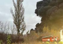 Пожар на промышленном предприятии Шебекинского округа Белгородской области локализован