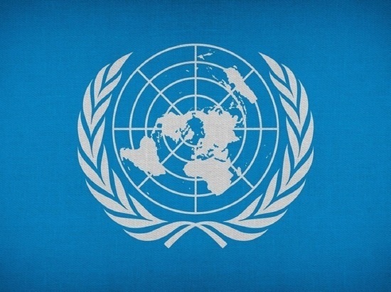 В ООН отреагировали на слова главы СНБО о русском языке