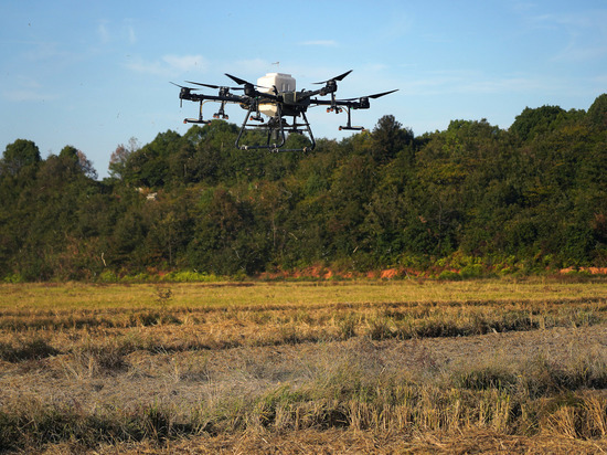 Еще одного россиянина задержали в Норвегии за использование дрона