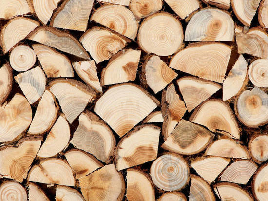 СМИ: Европа вырубит на дрова все свои леса
