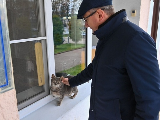 Калужского губернатора Шапшу в поездке снова встречал котик
