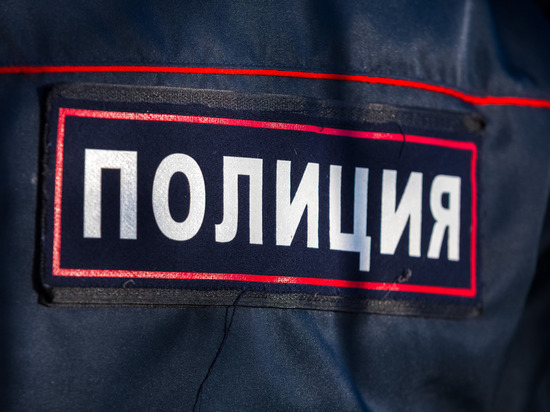 Иномарку жительницы Миасса похитили из автосервиса