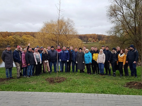 В Туле провели высадку 300 молодых деревьев