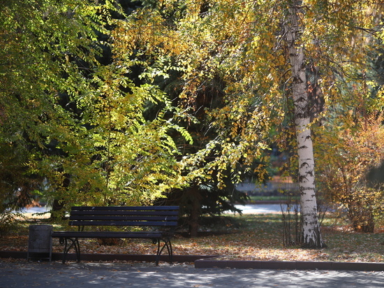 В Волгограде 23 октября обещают +11 градусов без дождя