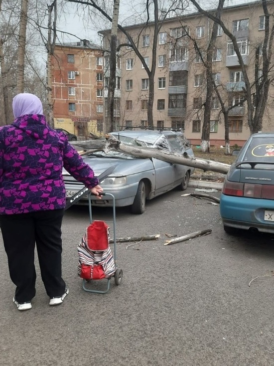 Кузбассовцы поделились последствиями штормового ветра