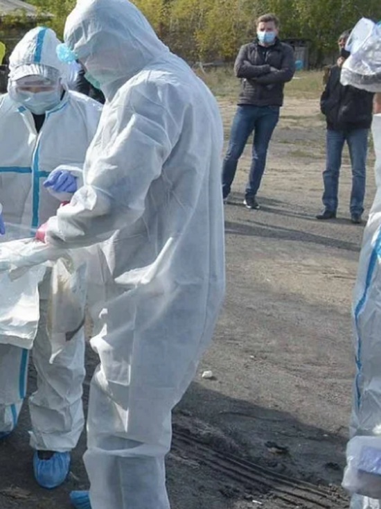 В Костромской области ликвидировано захоронение кур, умерших от птичьего гриппа