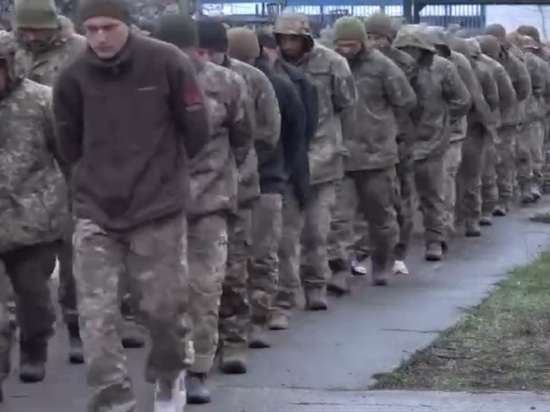 Военкор Сладков назвал примерное число украинских пленных