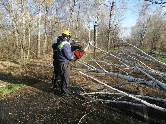 Последствия разрушительного ветра в Кемерове устраняют оперативные службы