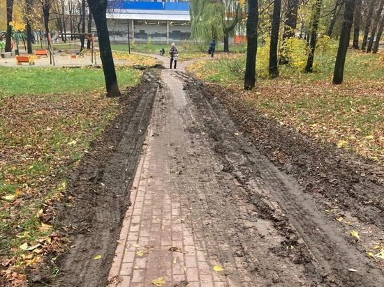 В Рязани водитель грузовика развёз грязь после субботника в сквере «Юность»