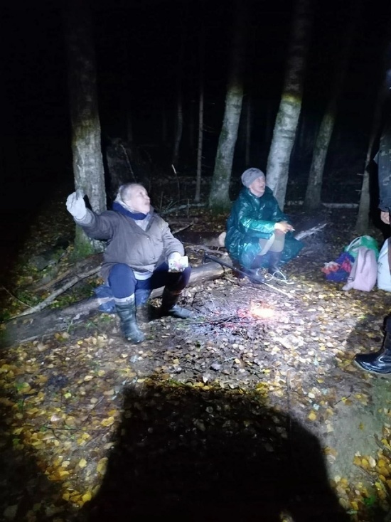 В Ивановской области двух заблудившихся в лесу бабушек искали несколько групп поисковиков