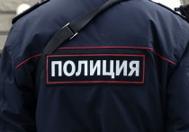 Трупы двоих мужчин с огнестрельными ранениями обнаружены в ночь на воскресенье в одном из СНТ в Орехово-Зуевском городском округе Московской области