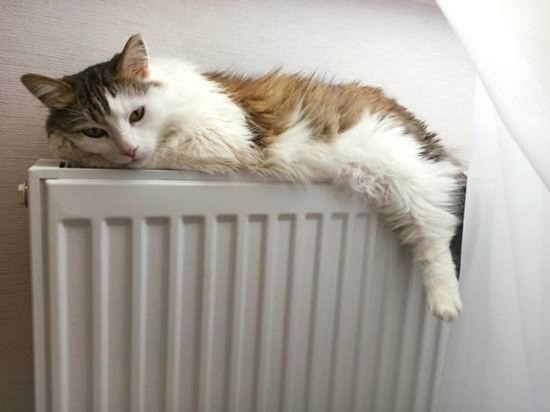 Астраханцы пожаловались на отсутствие отопления при холоде до -1 градуса