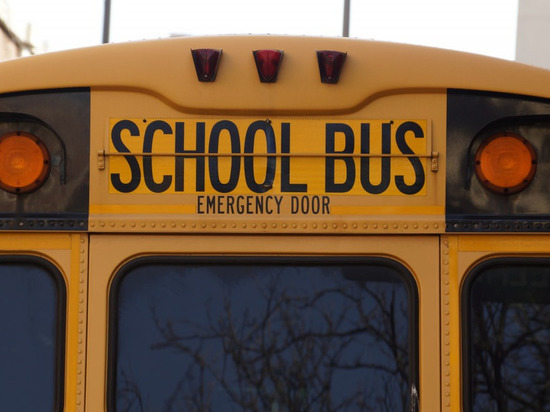 Минтранс поддержал идею бесплатного проезда школьных автобусов по платным дорогам