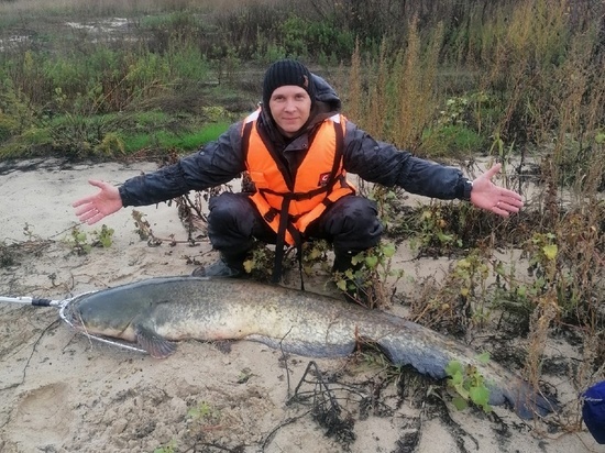 В Рязанской области рыбак на Оке поймал сома весом 32 килограмма