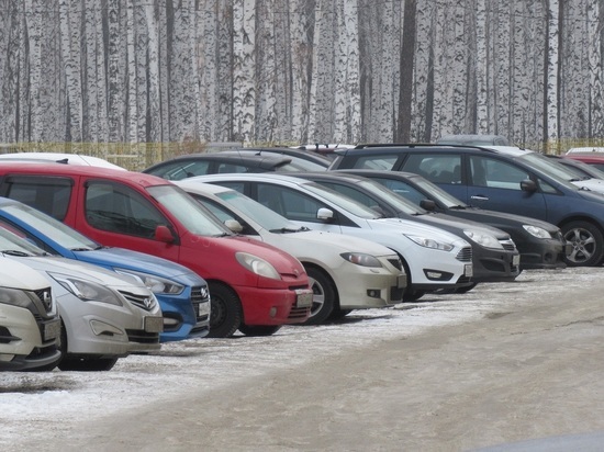 Екатеринбургские автовладельцы жалуются на автоворов