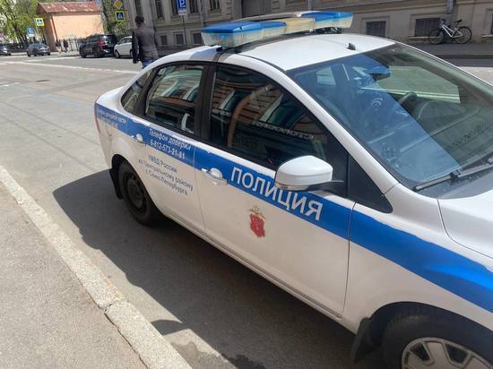 Берегись пешехода: полиция и водитель полчаса уговаривали петербурженку пропустить машину на Бухарестской